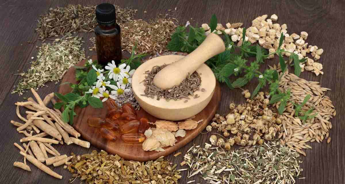 Exploring the Wonders of Wellhealthorganic Home Remedies Tag