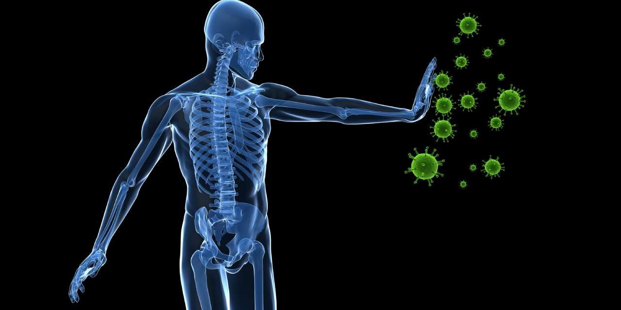 Immune System Toughen With 4 Natural Ways: Combat Soreness and Gaucher Signs